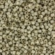 Miyuki Delica Perlen 11/0 - Duracoat galvanized matted silver DB-1831F